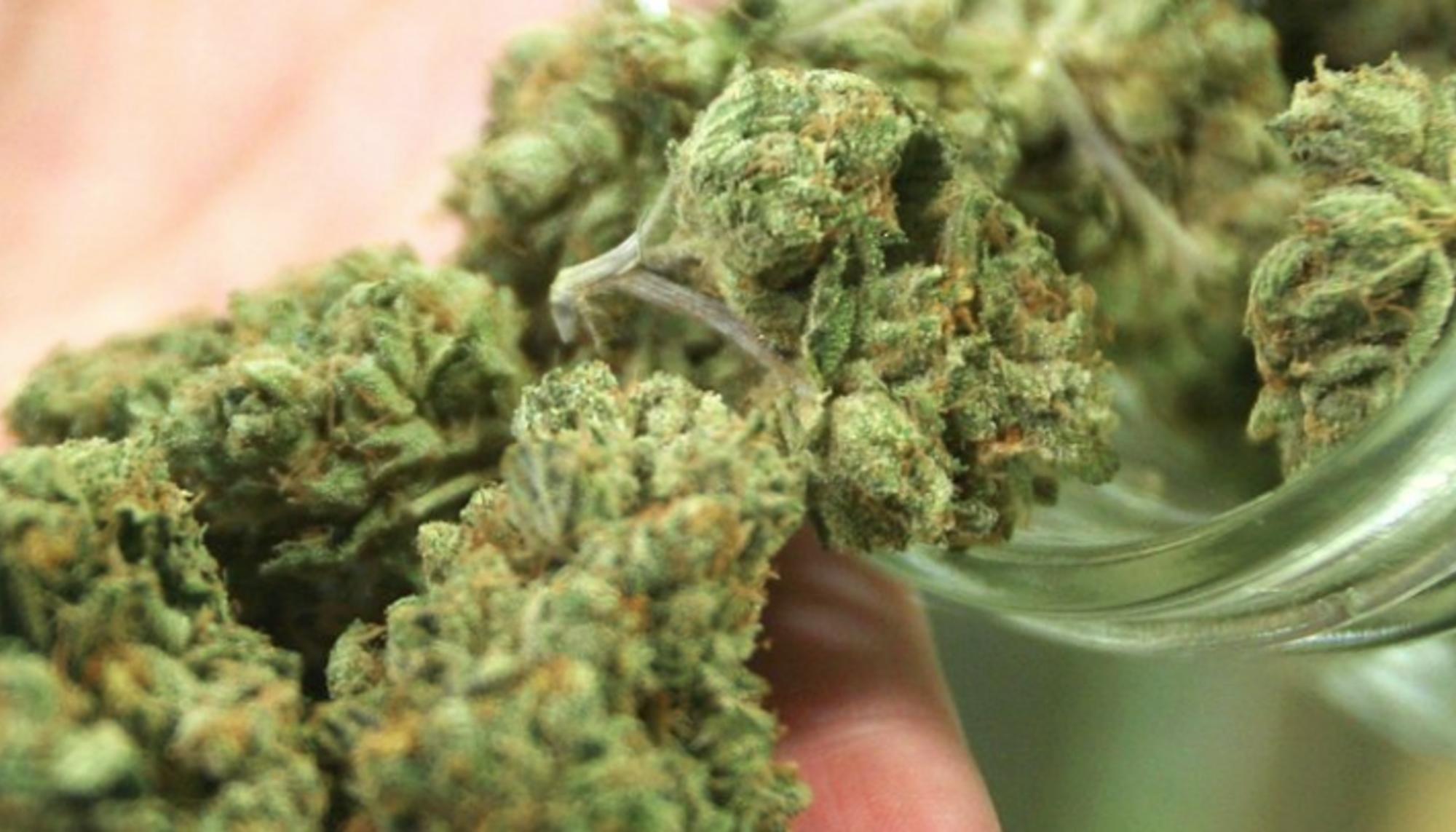 Mito del cannabis