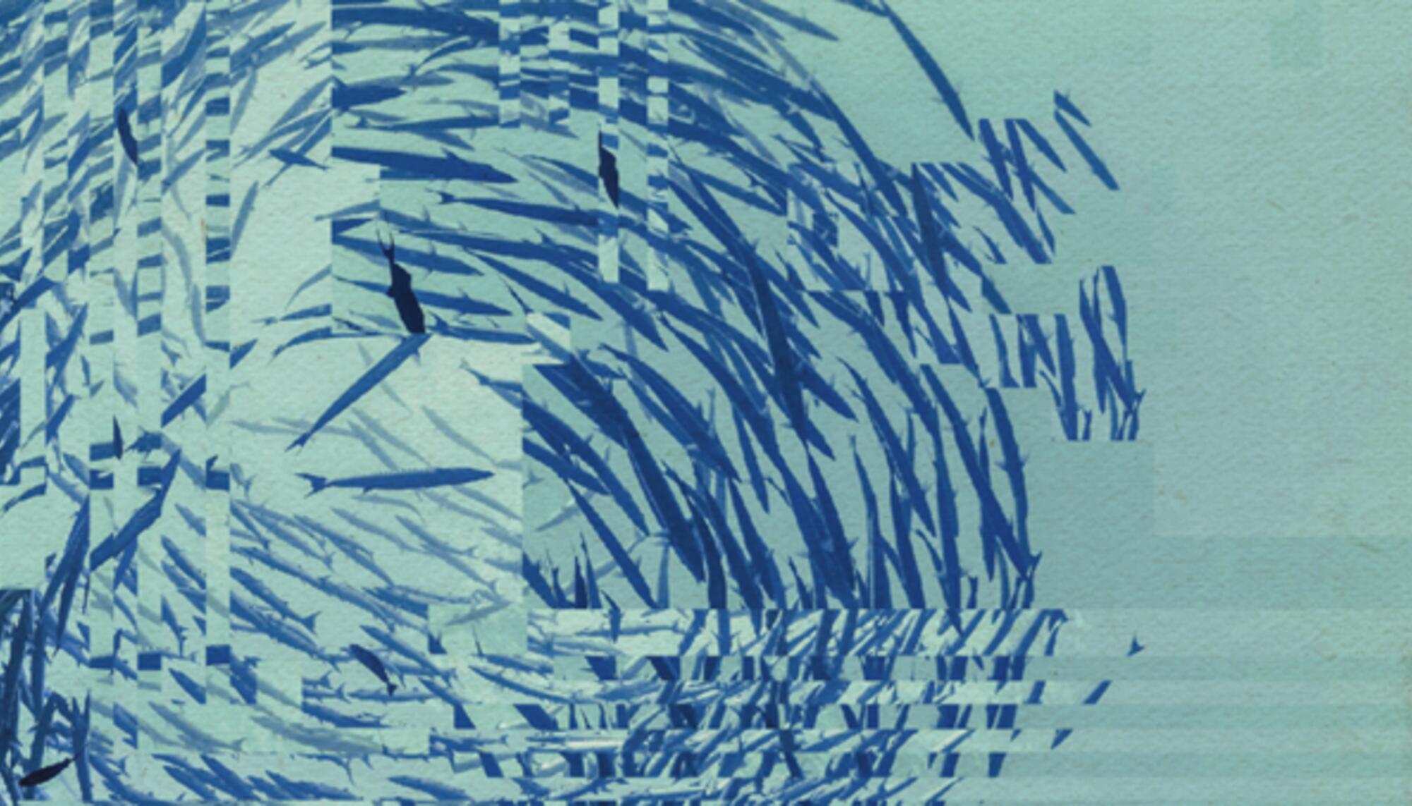 Distorted Fish School scal