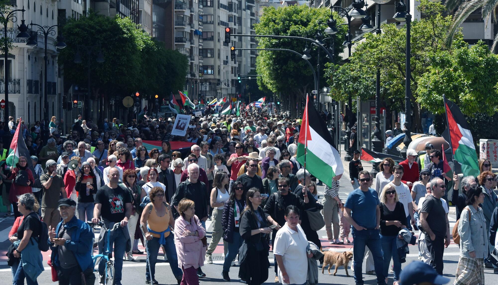 Manifestaciones País Valenciá solidaridad con Palestina 20-21 abril  - 11