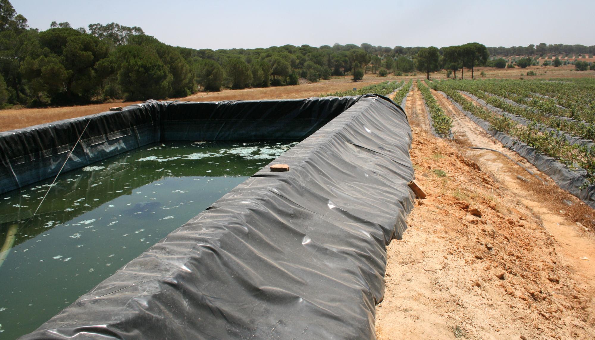 Agua Doñana 04