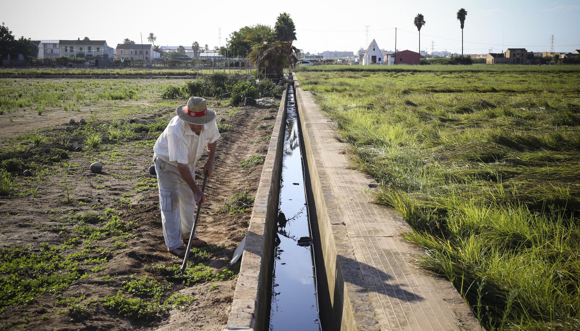 agricultor horta valencia