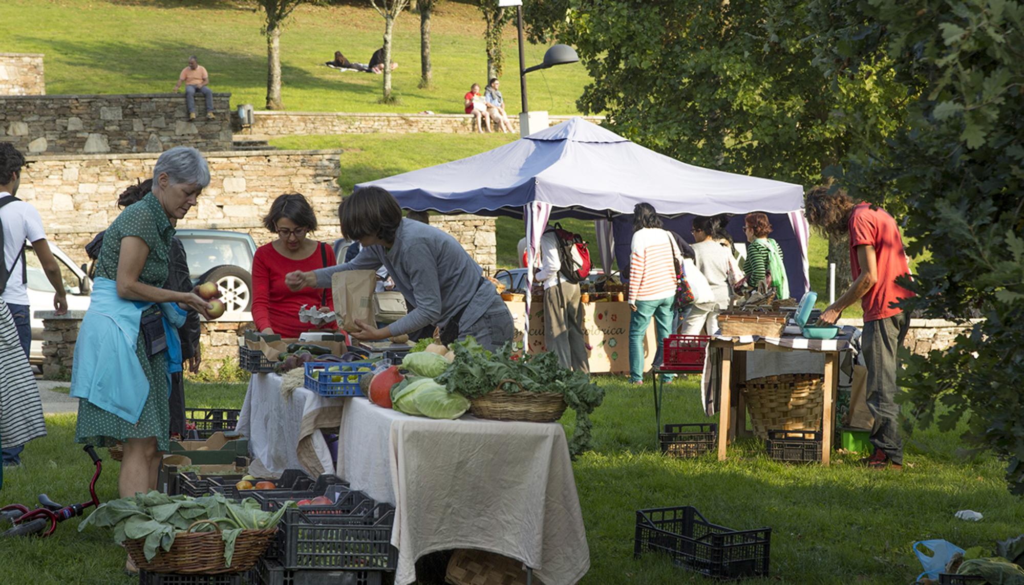 Economía social en Galiza_2
