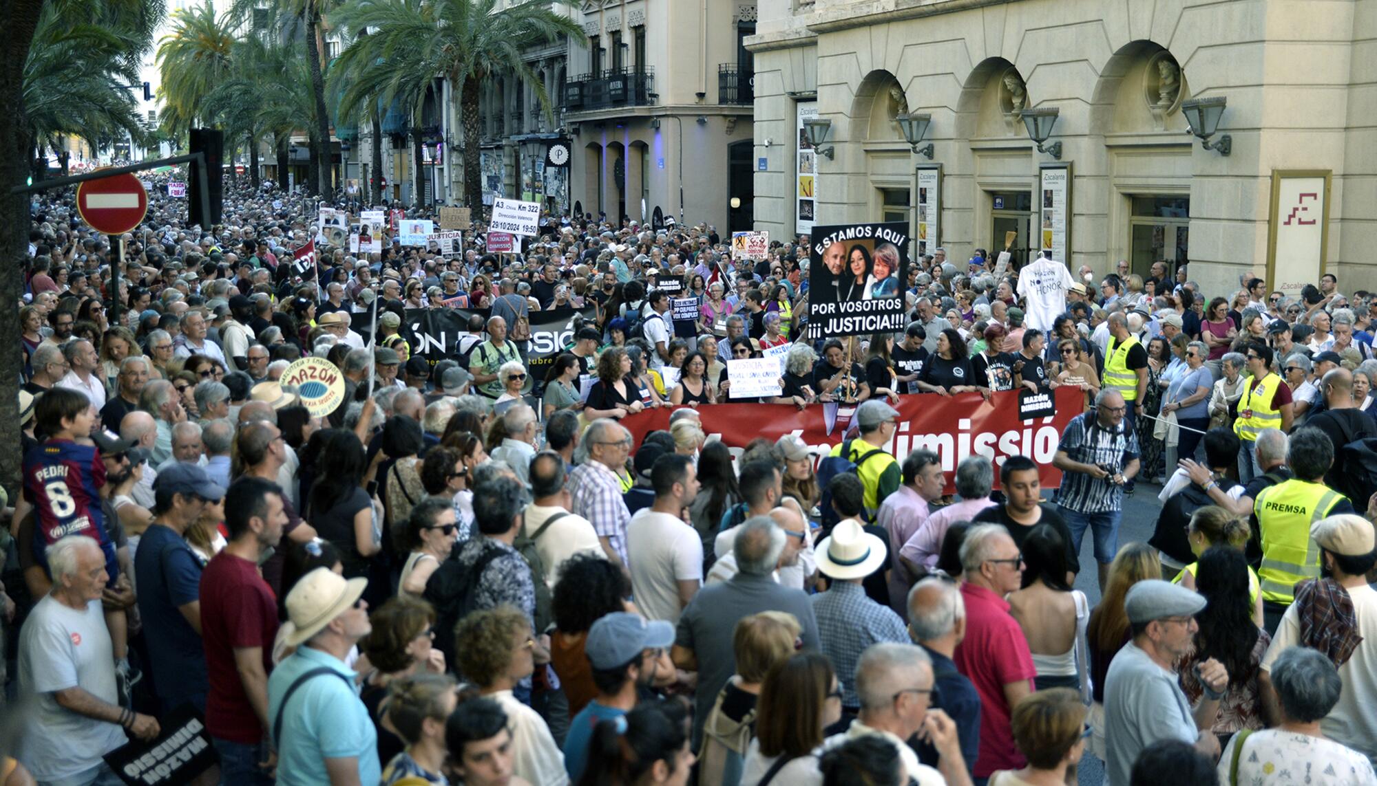 Séptima manifestación Mazón Dimisisó, dia de la huelga - 2