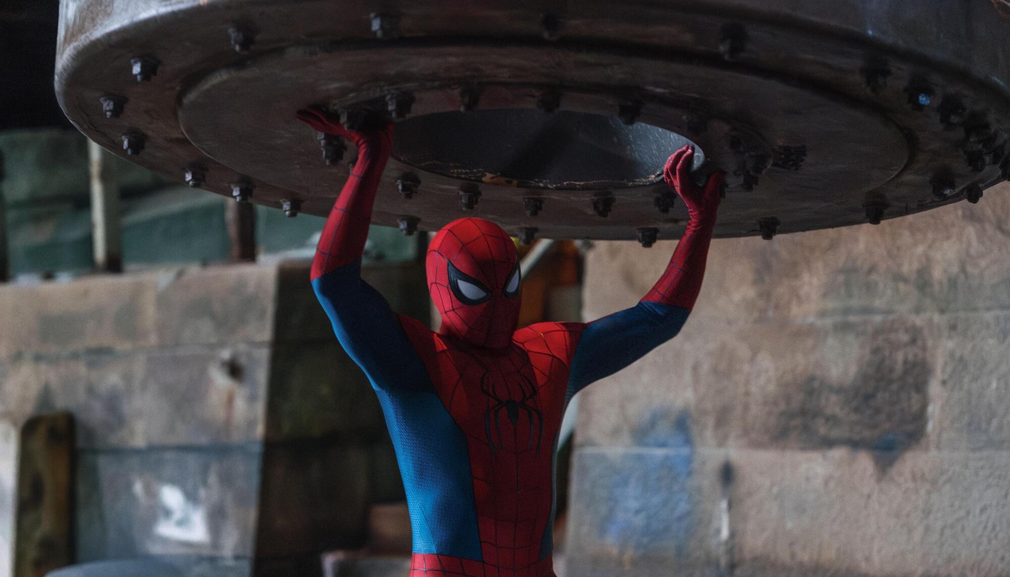 Spiderman Brand