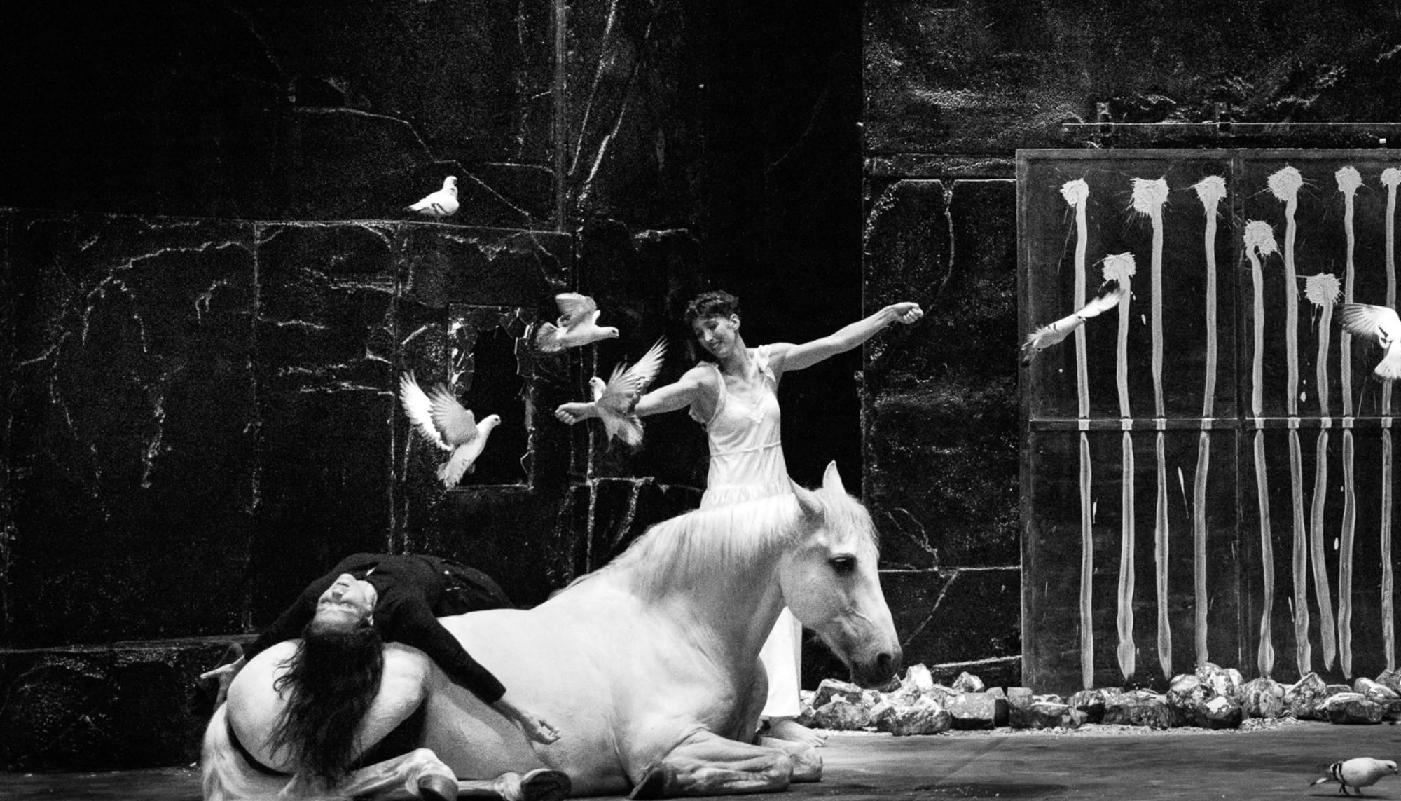 Teatros Canal obra caballo Falaise