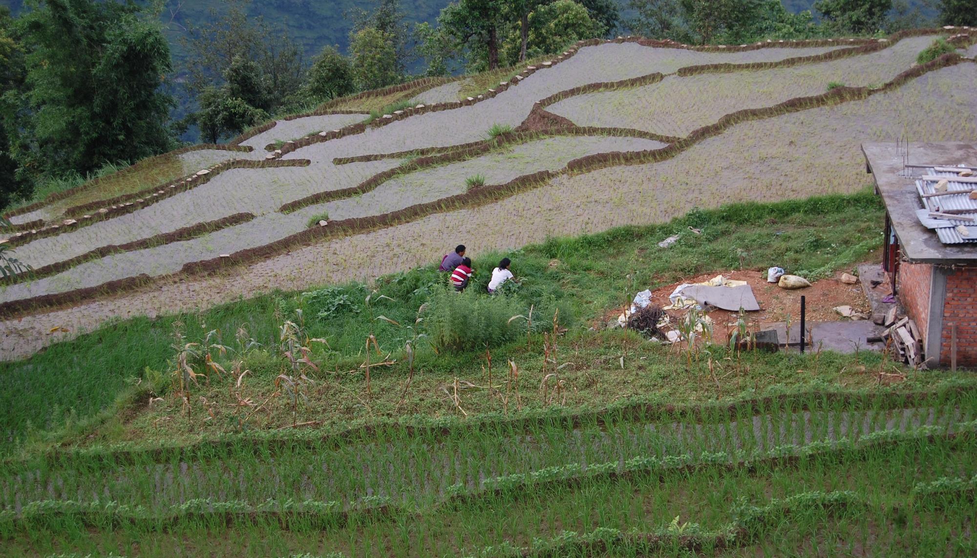 Nepal