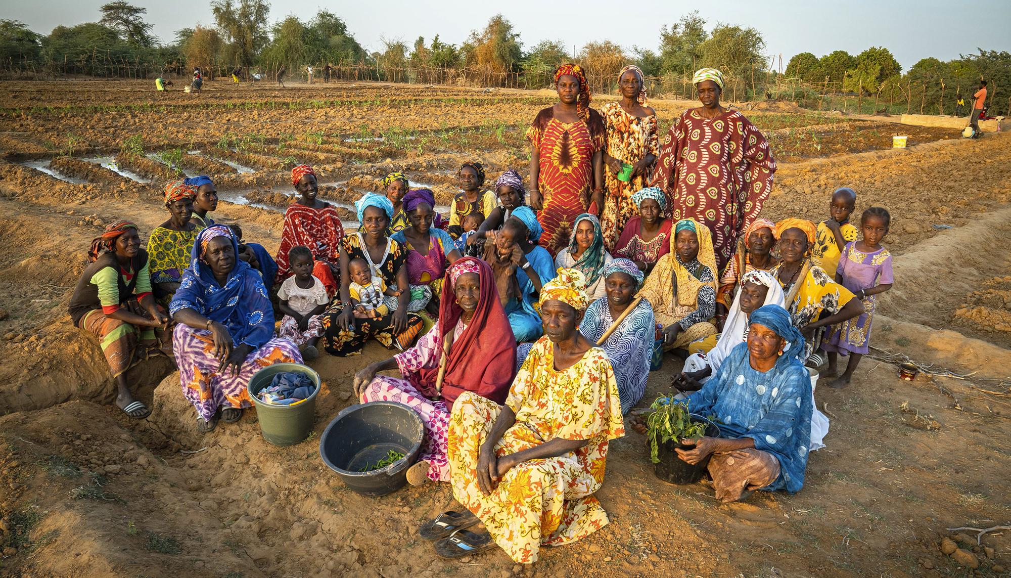 Agroecología y feminismo en Senegal - 8