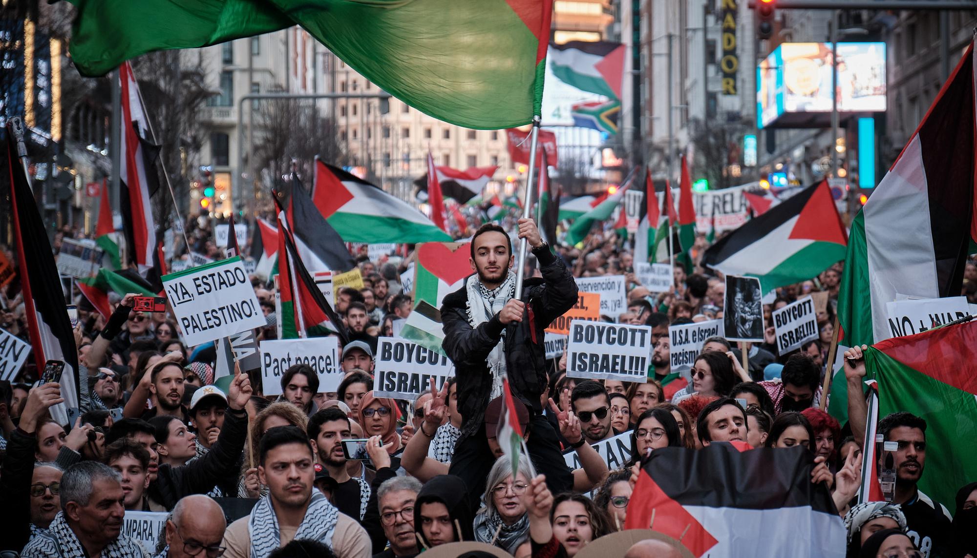 Manifestación estatal Palestina Madrid 25 enero 2024 - 3