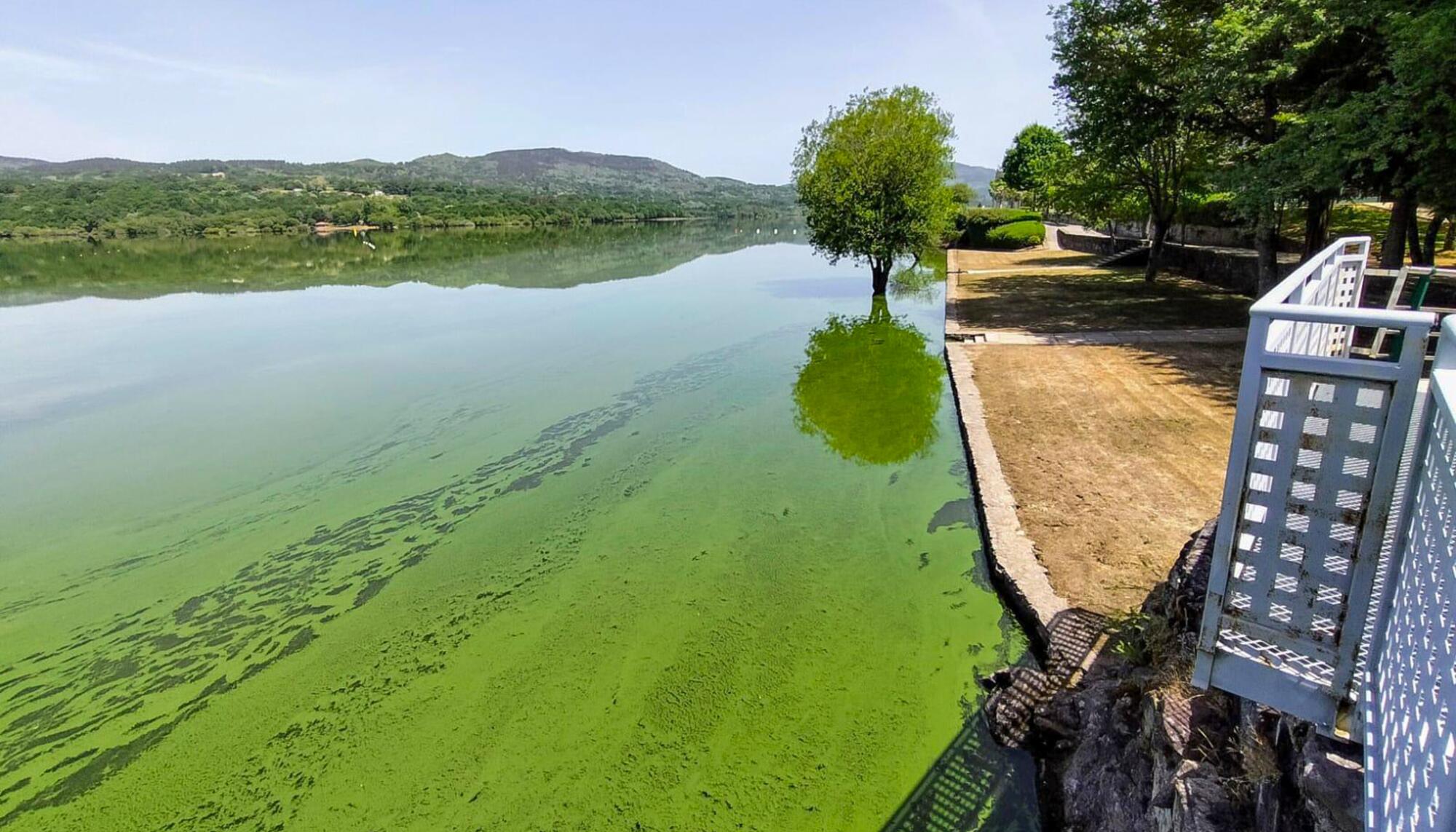 Embalse As Conchas 2