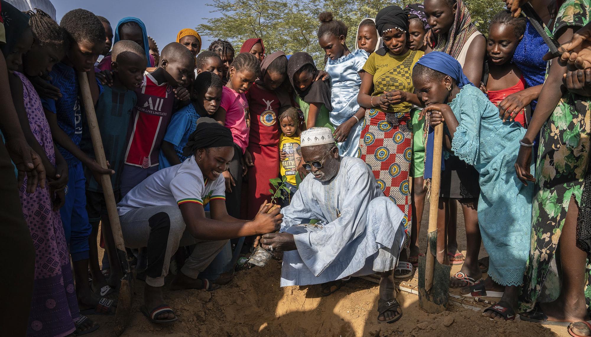 Agroecología y feminismo en Senegal - 4