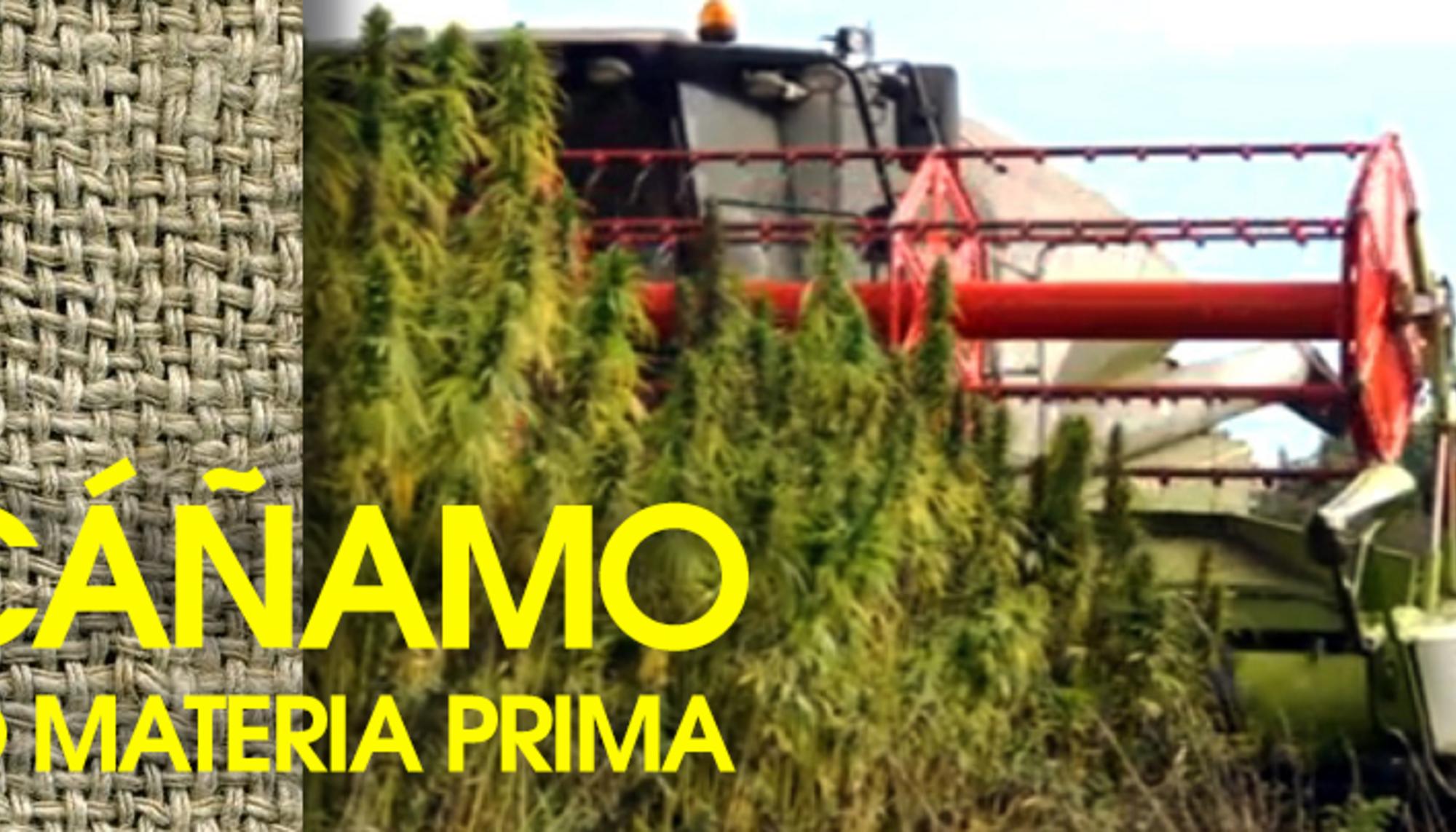 cañanmo