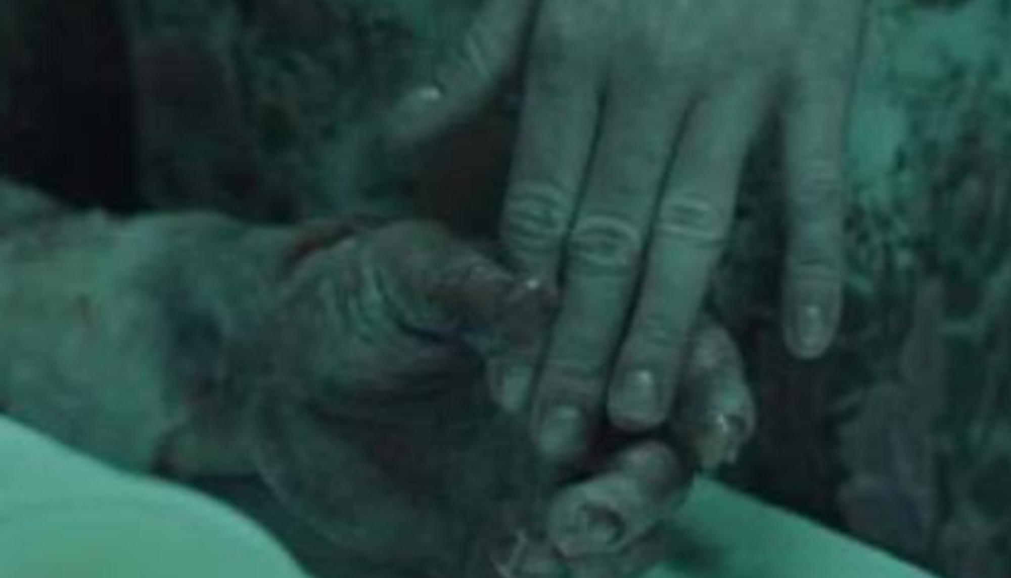 Chernobyl portada