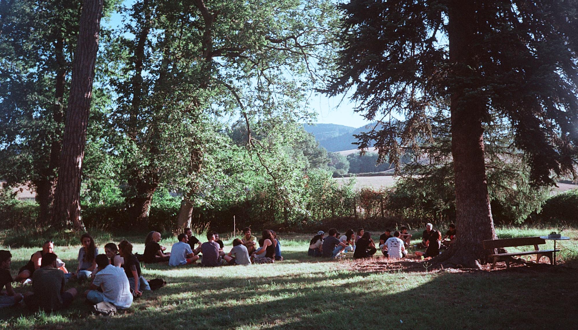 Communia 5 cesped