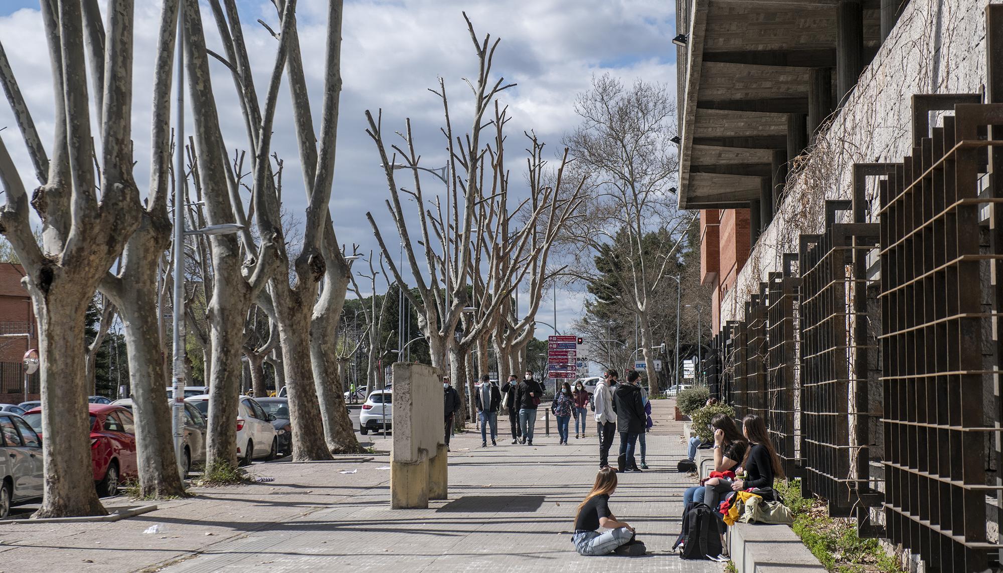 Ciudad Universitaria Universidad - 3