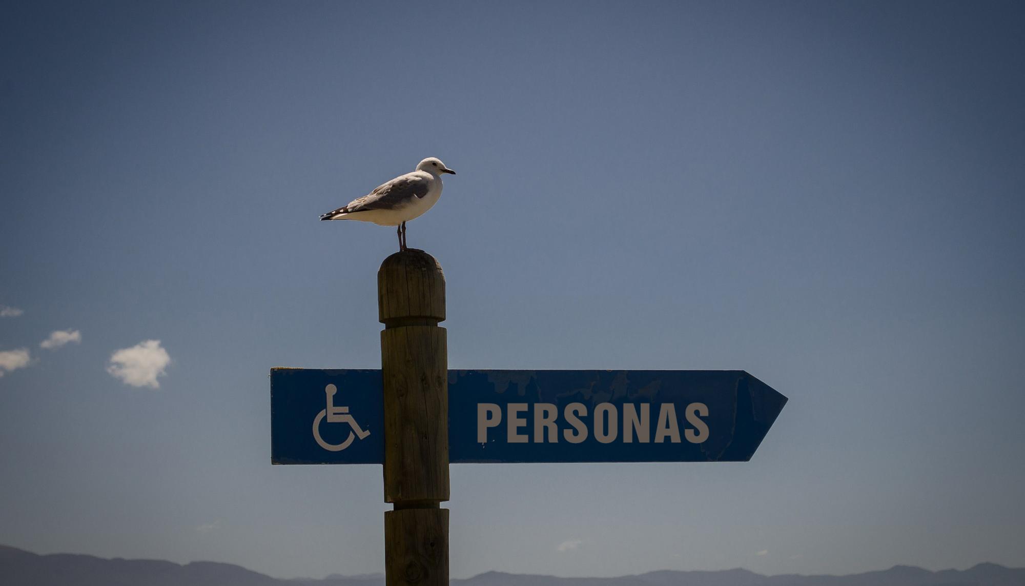 cartel playa personas