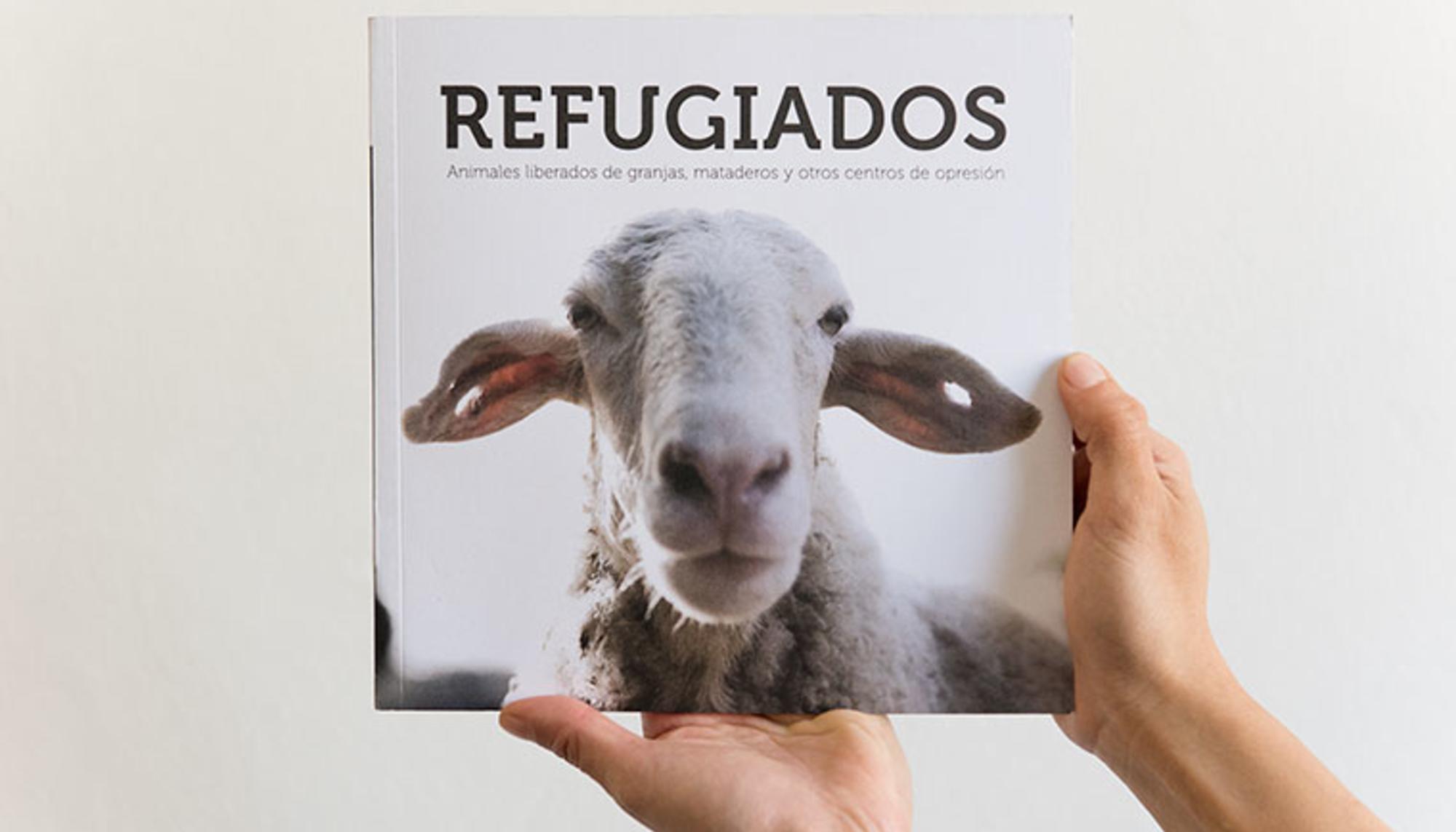 Portada Refugiados