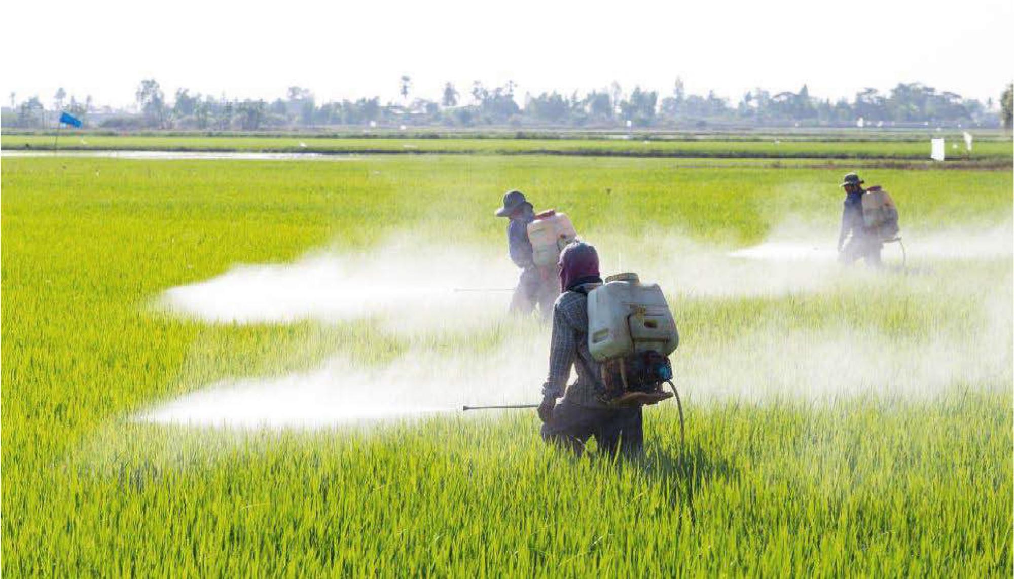 En España el herbicida glifosato se utiliza en la agricultura convencional y para exterminar malas hierbas y arbustos en parques, plazas y aceras en las ciudades.