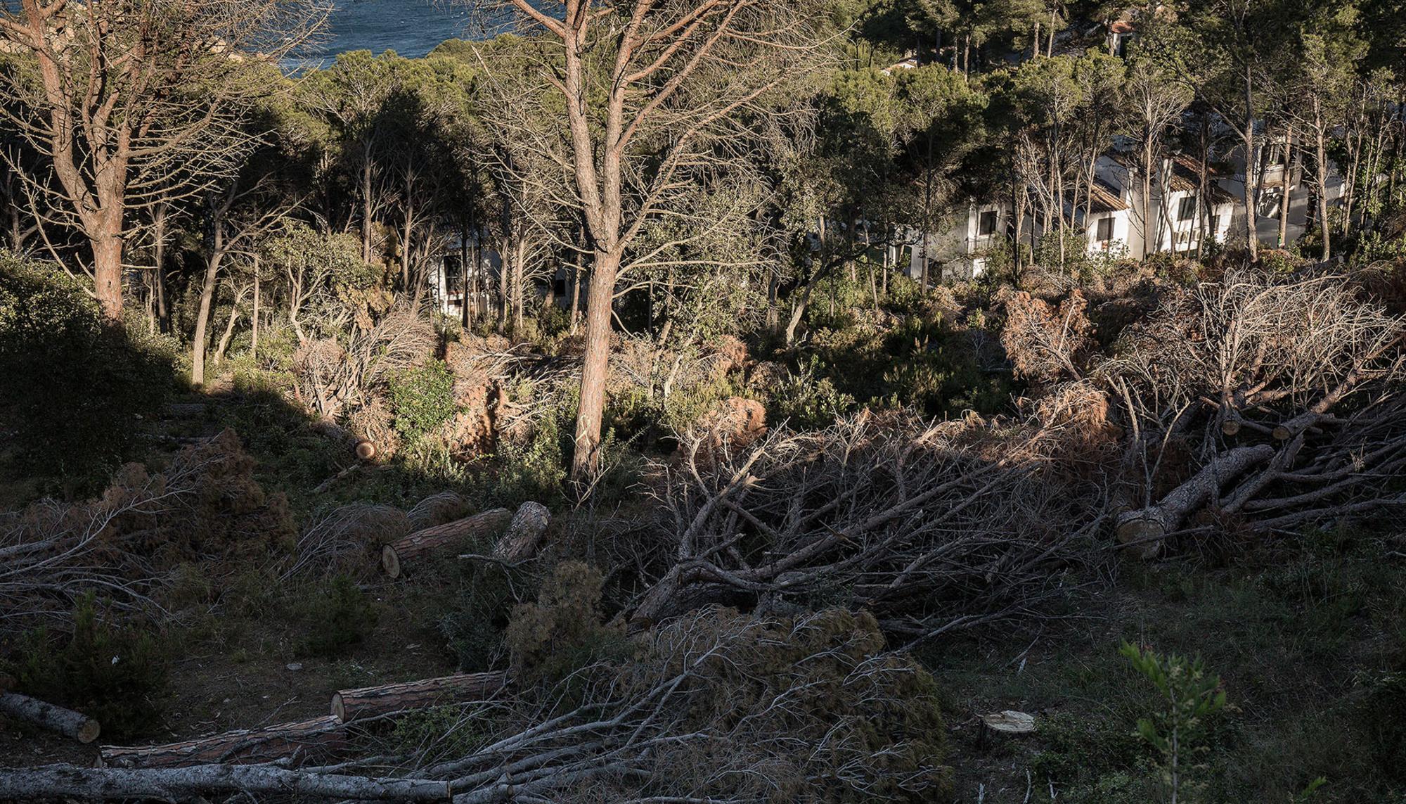 costa brava 2