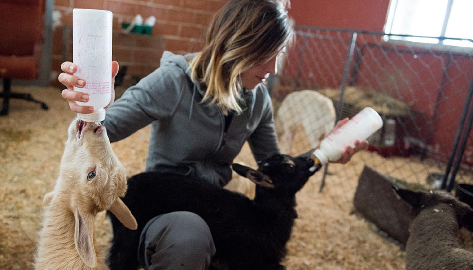 Laura da de comer a dos habitantes del Santuario Vegan 