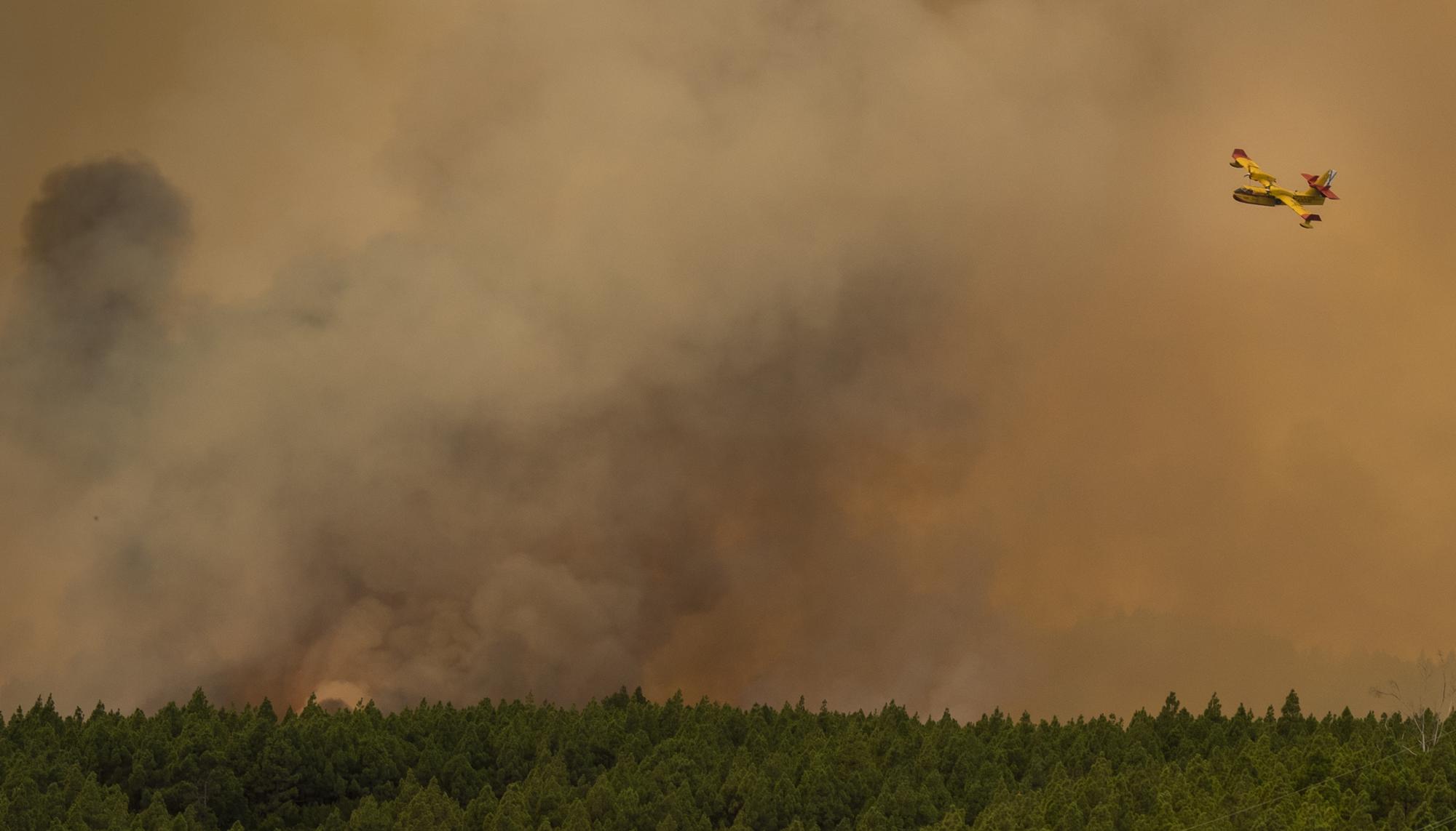 Incendio Tenerife - 1