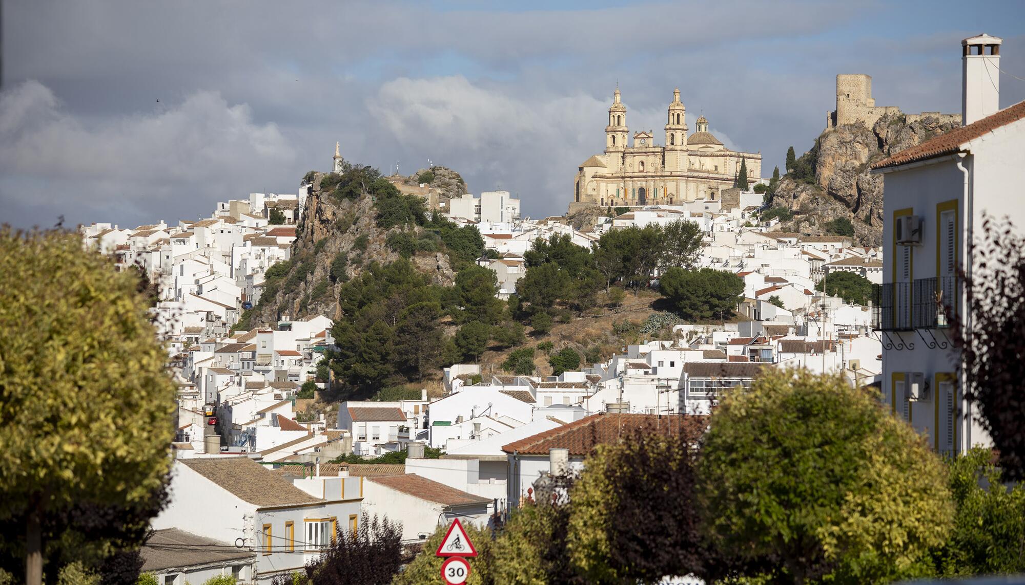 Olvera 1