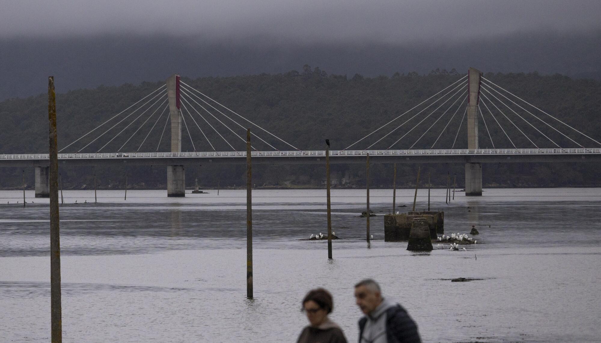 Varios Galicia Ria de Arousa - 3