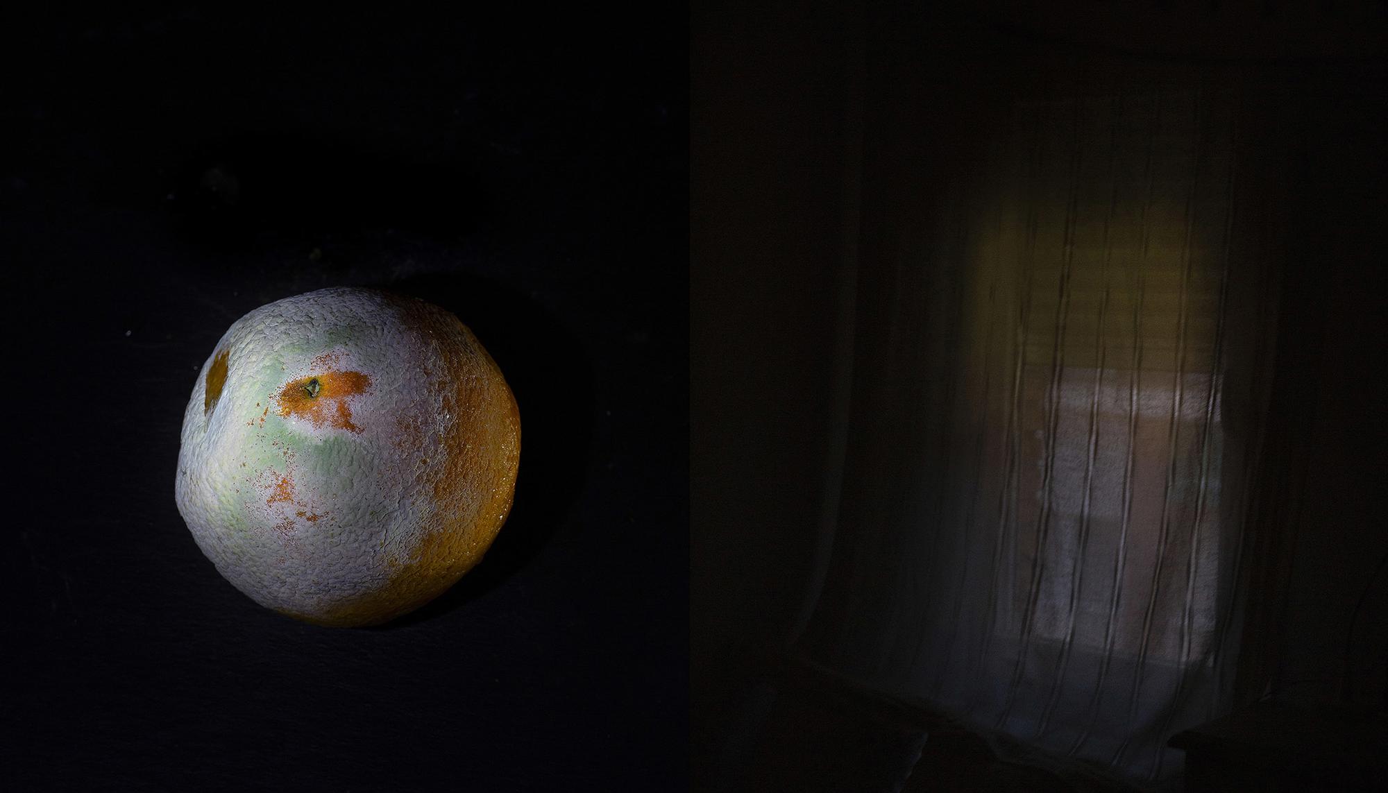 Galeria Edu Leon confinamiento - 18