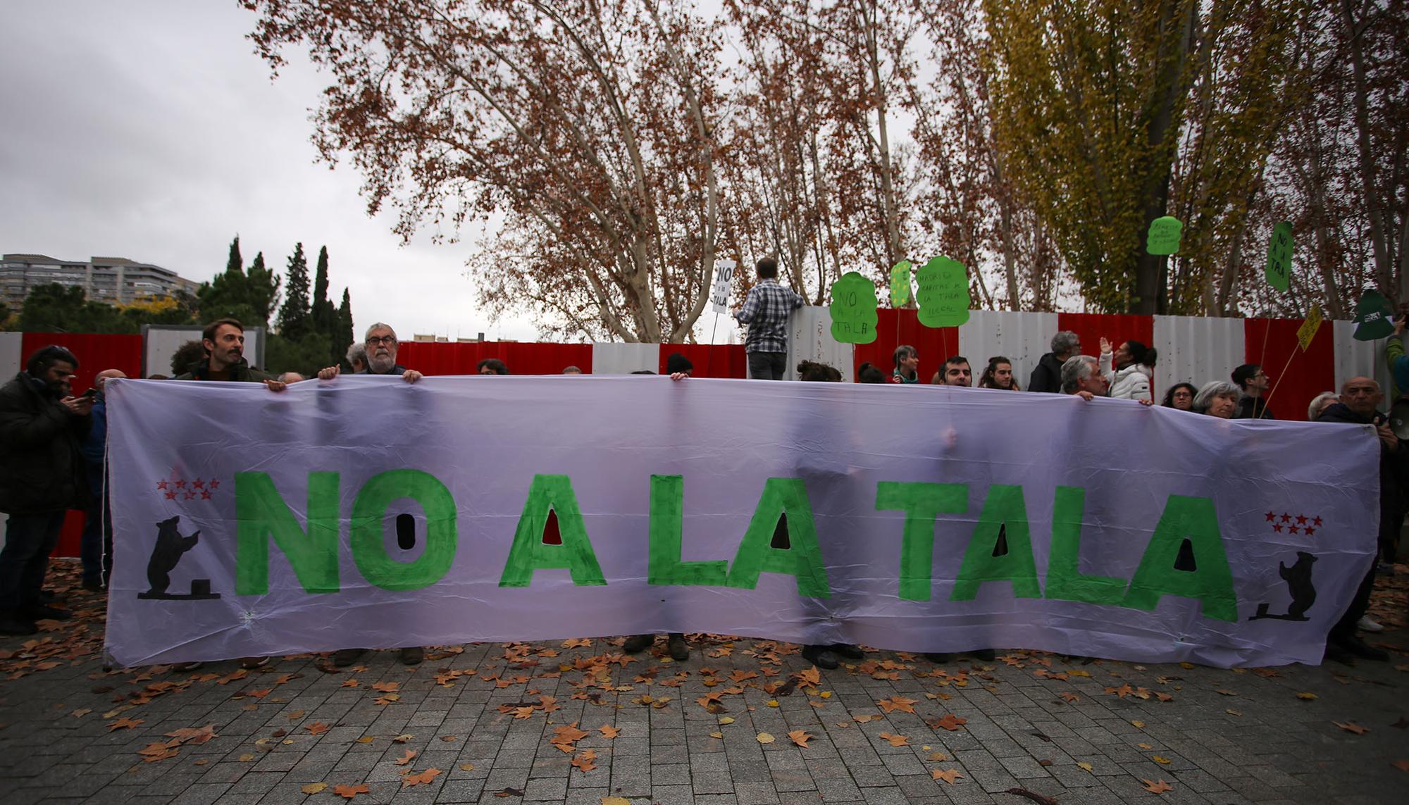 Tala árboles linea 11 Madrid - 10