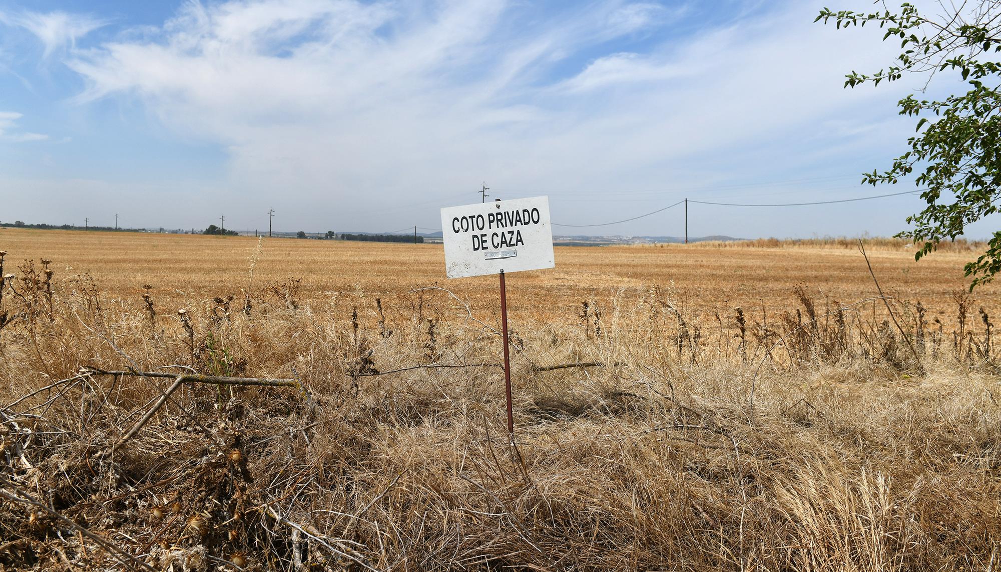 Coto privado de caza Badajoz.