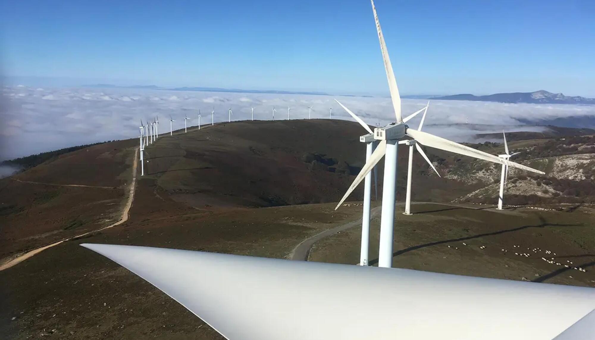 iberdrola-eolico