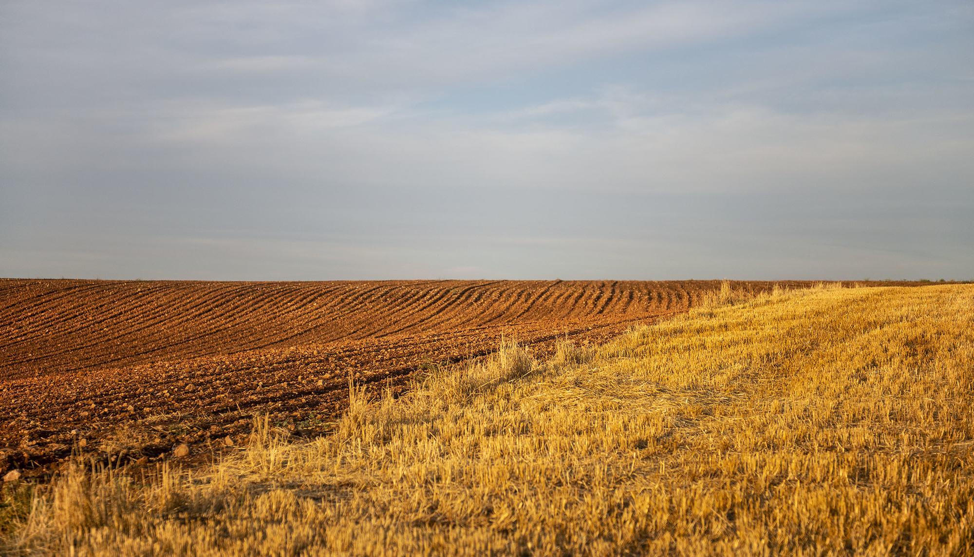 Campo de cultivo en Castilla