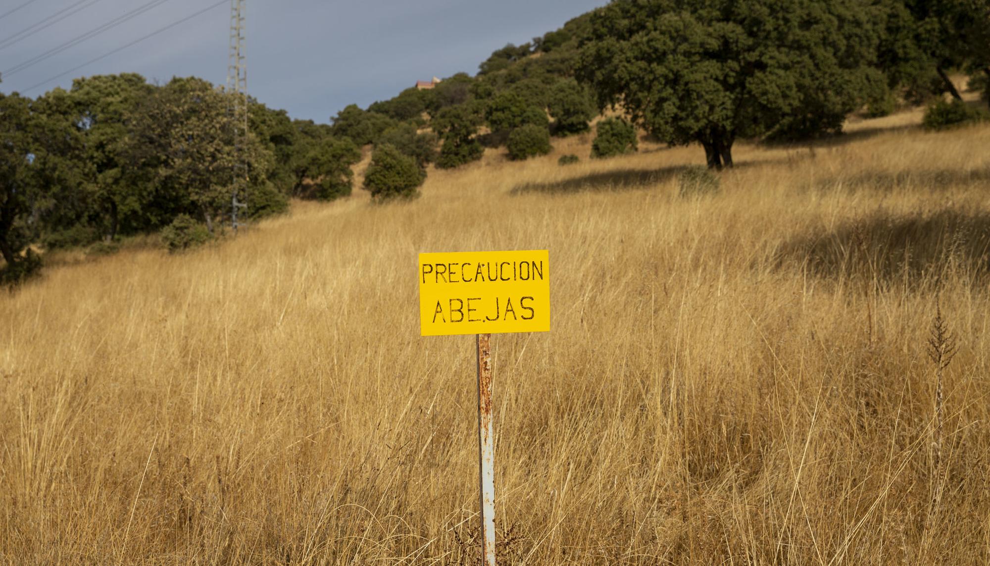 Cartel abejas El Pardo