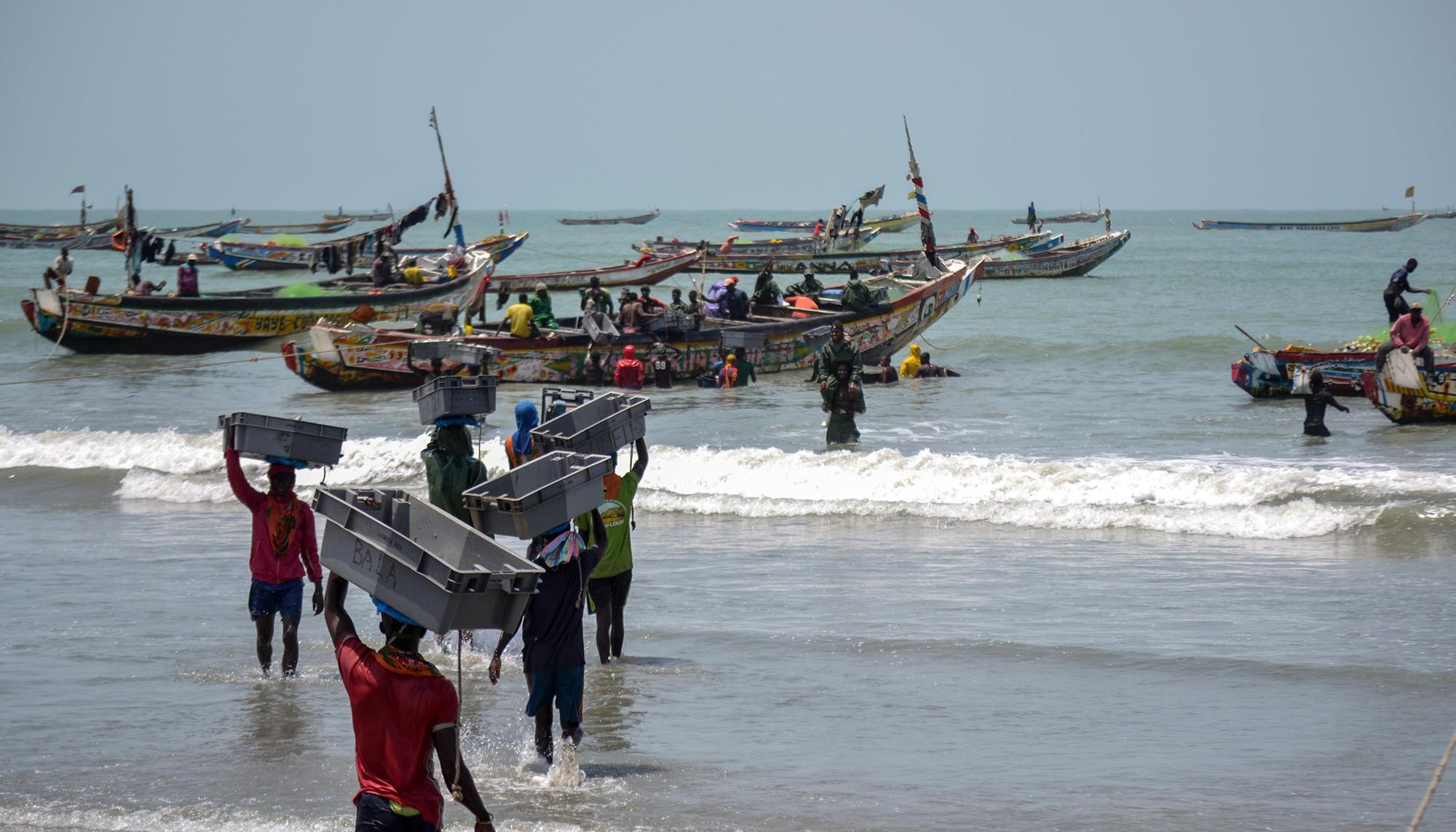 Pesca en Gambia 3