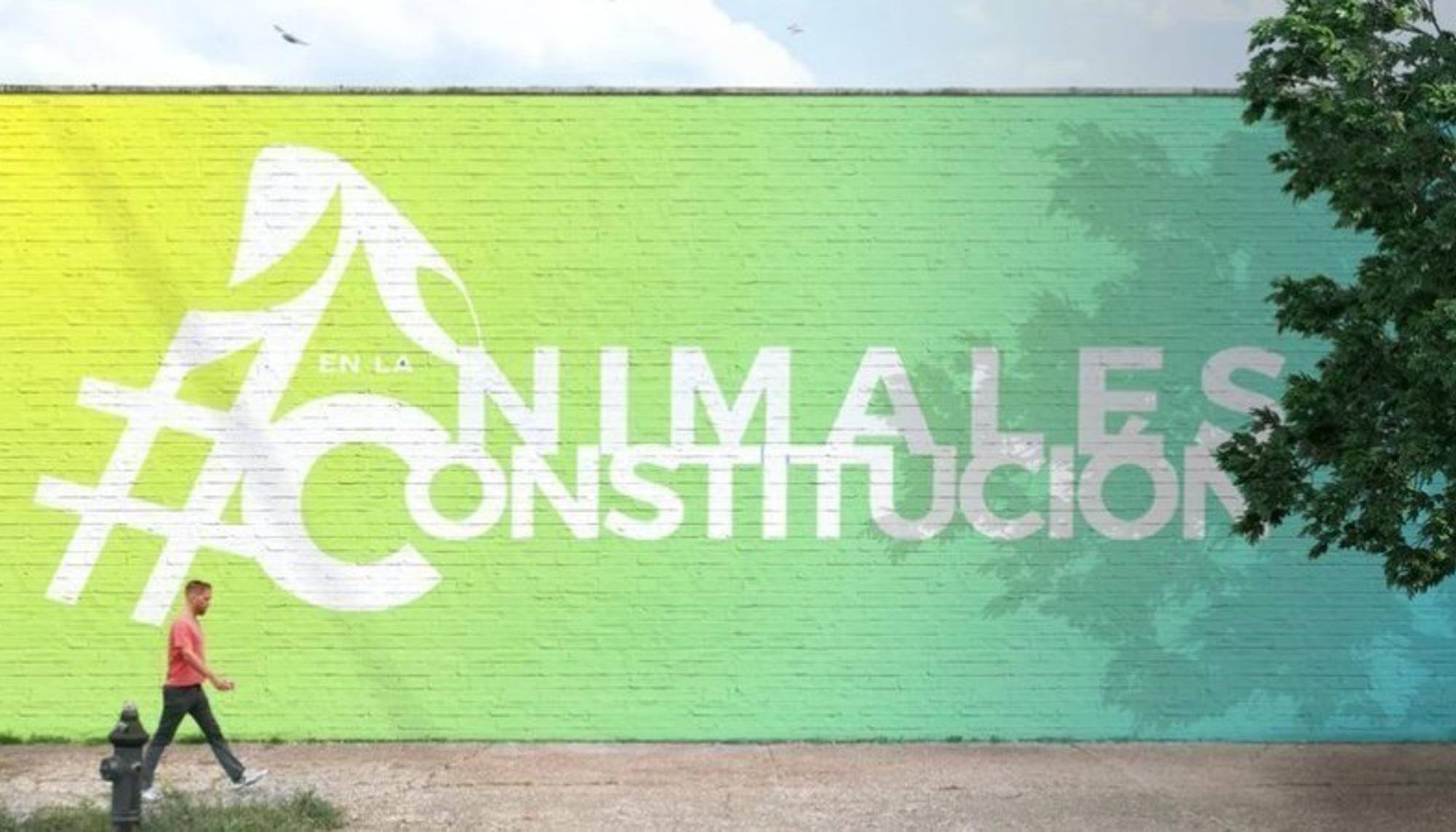 Animales en la constitución