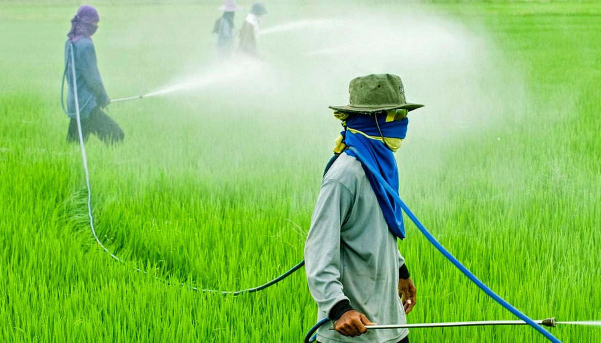 Uso de pesticidas en Brasil