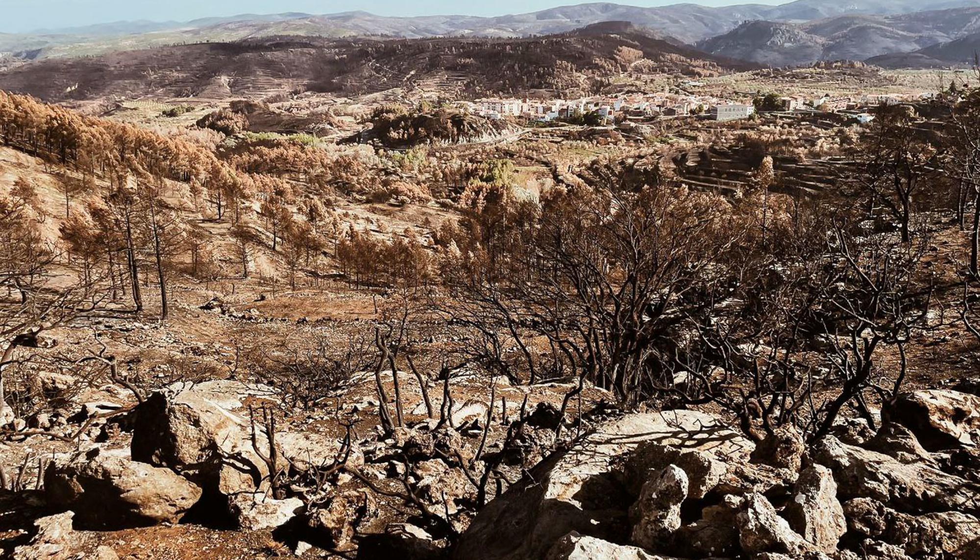 Incendio Toras Castelloi