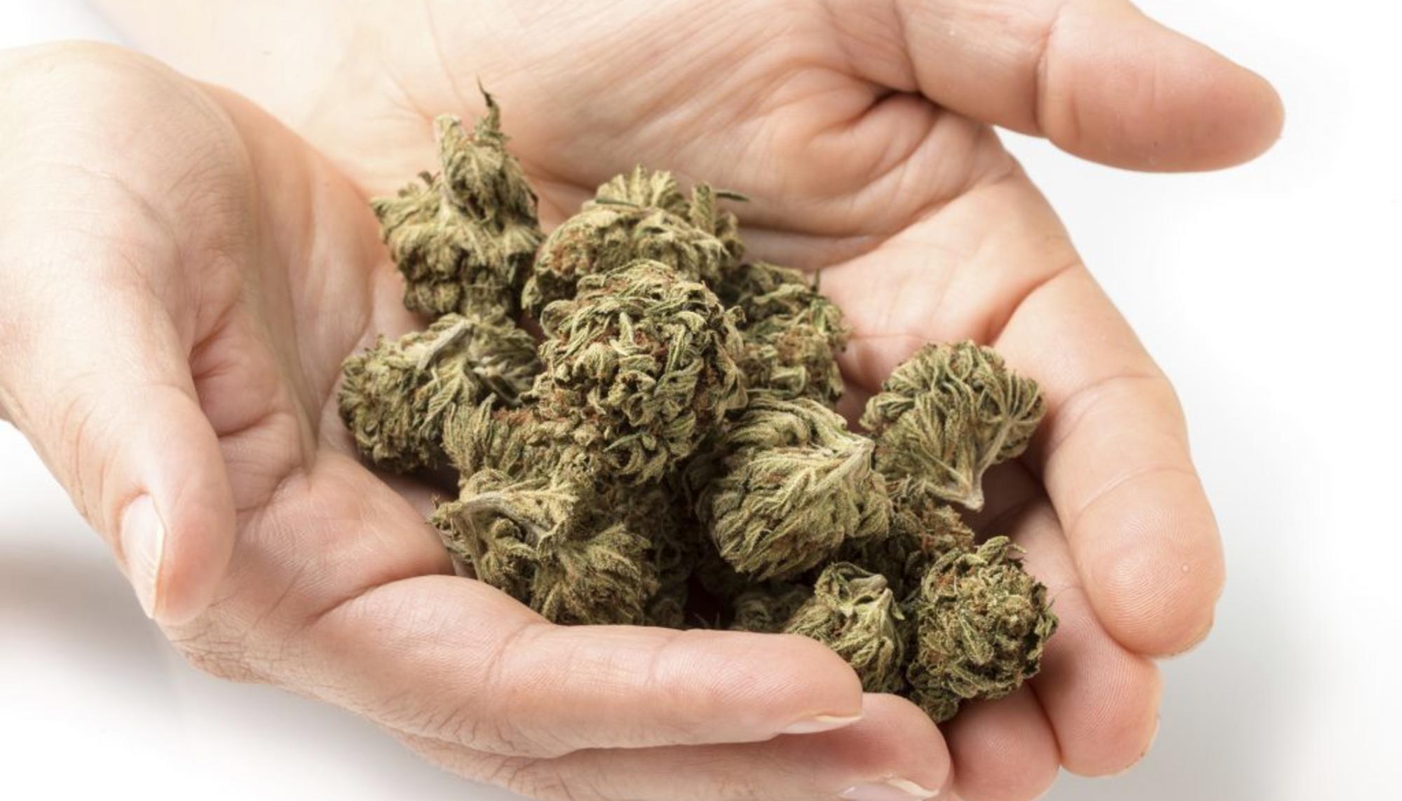 Legalización cannabis medicinal