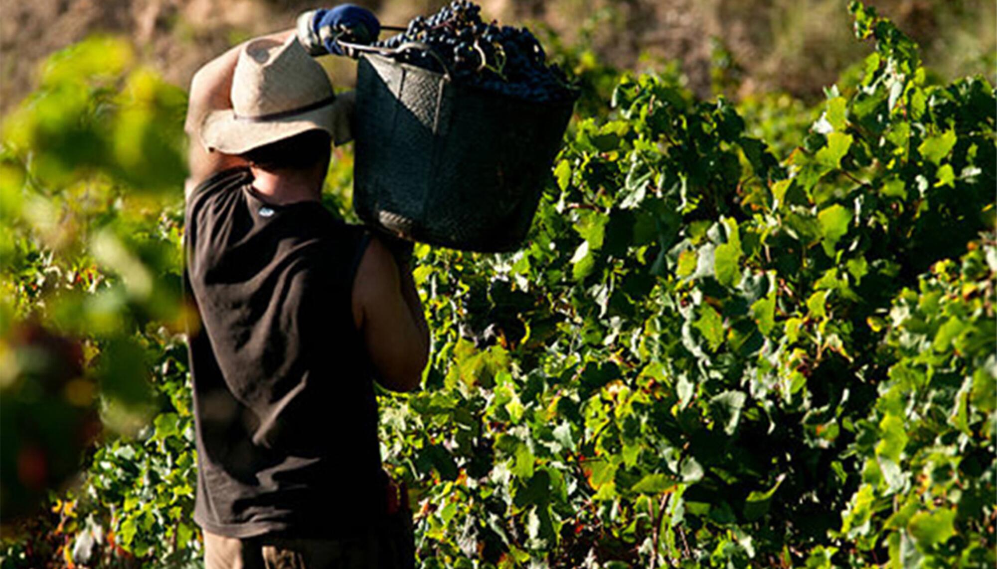 lsi-sectores-precarizados