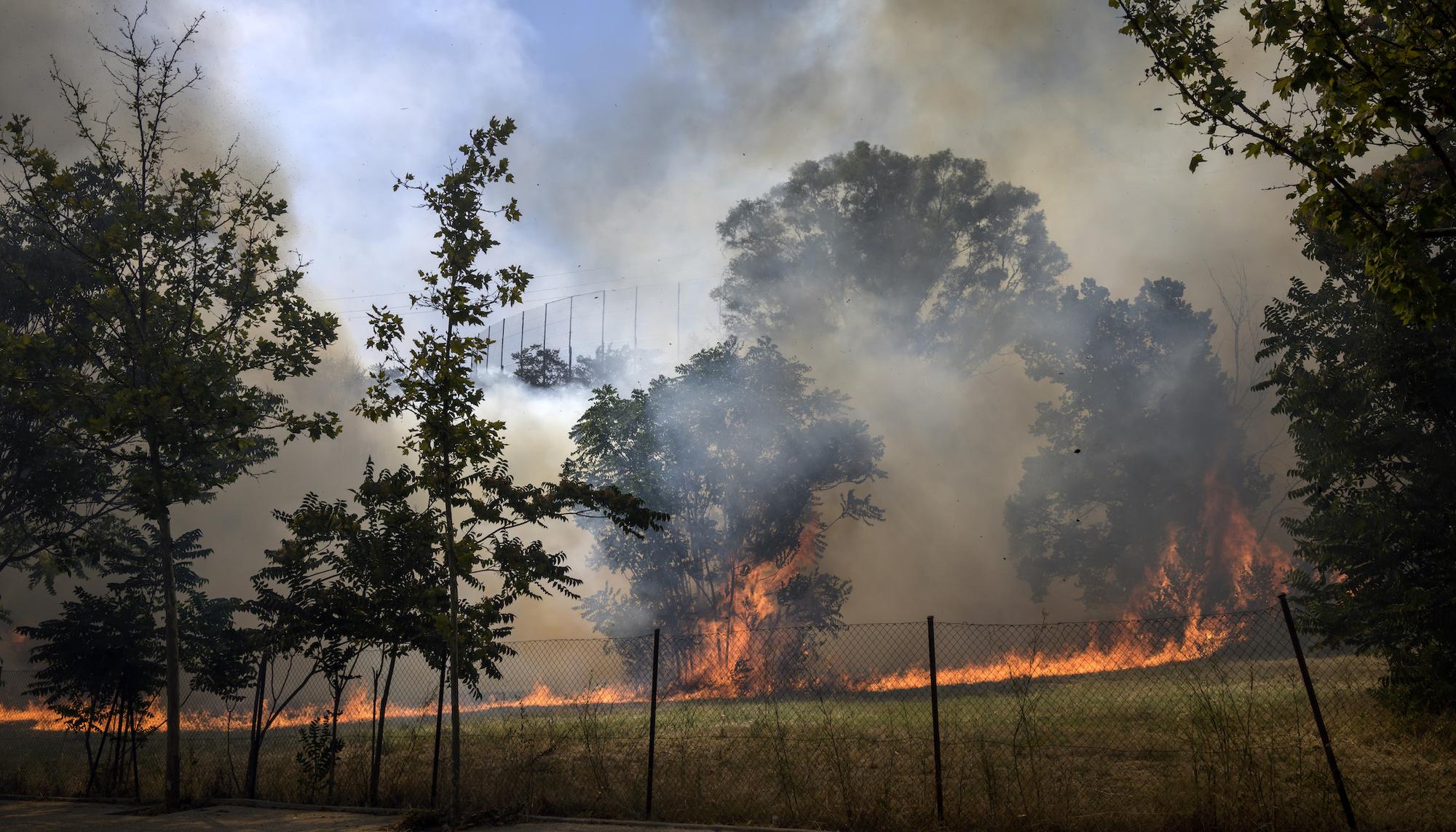 Segundo incendio en la Dehesa de la Villa de Madrid -port