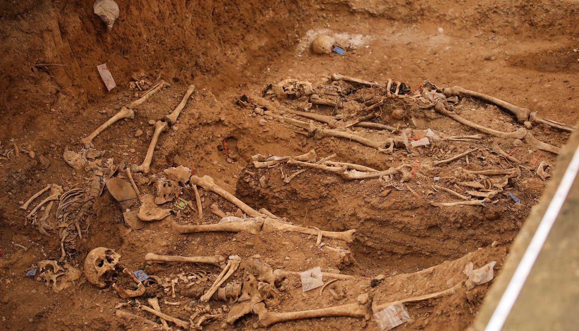 Exhumacion represaliados Cementerio El Carmen de Valladolid - 6