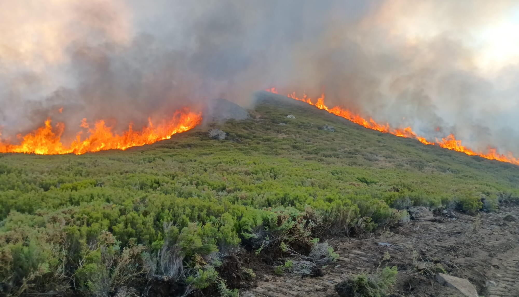 Incendios Trevinca 2025 - 1