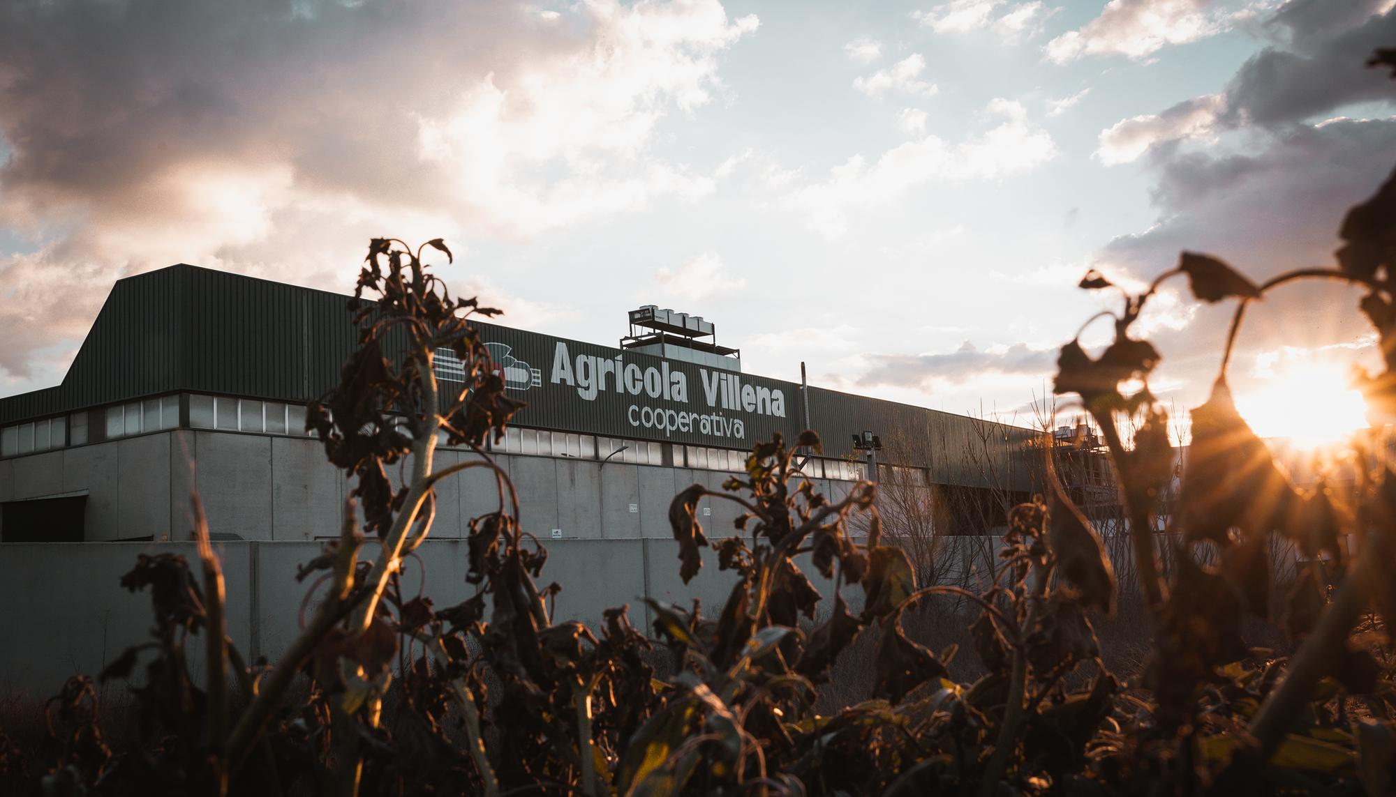 agricola villena mercadona 1