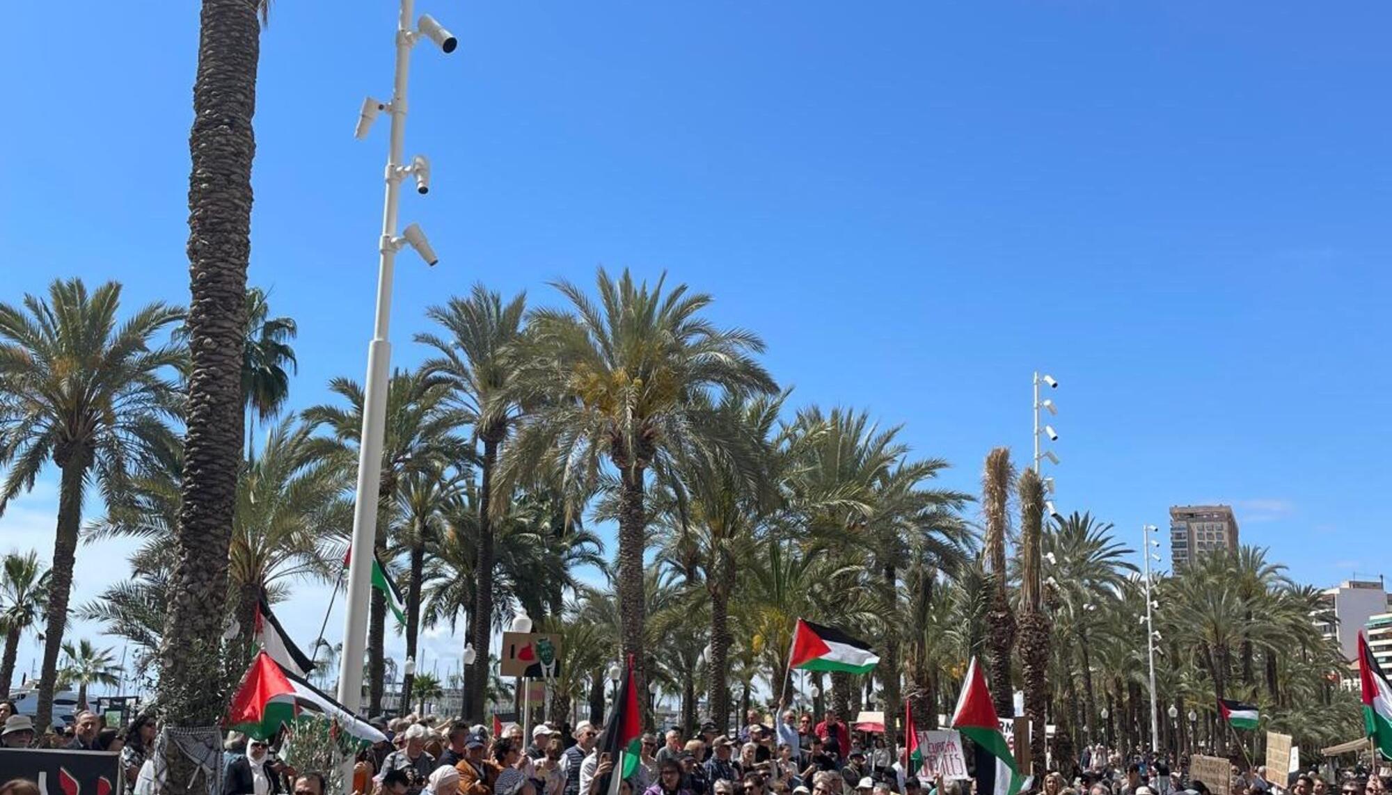 Alacant Mani Palestina