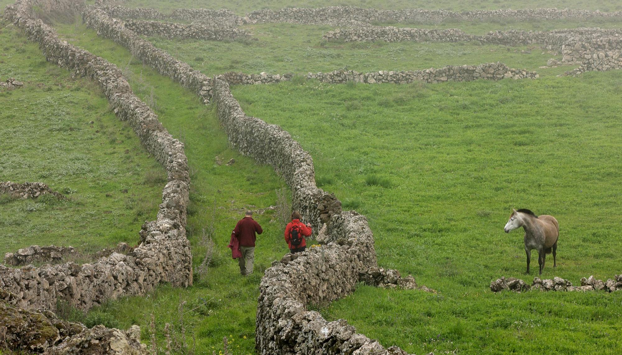 Medio rural muros