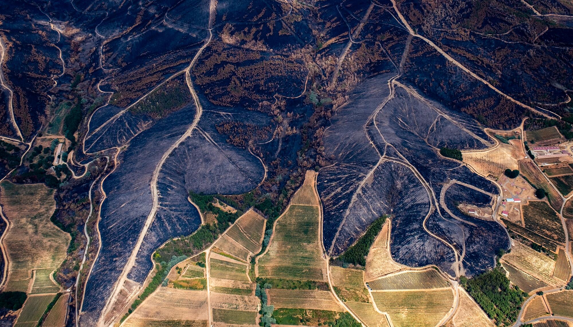 Incendios Greenpeace aereas - 13