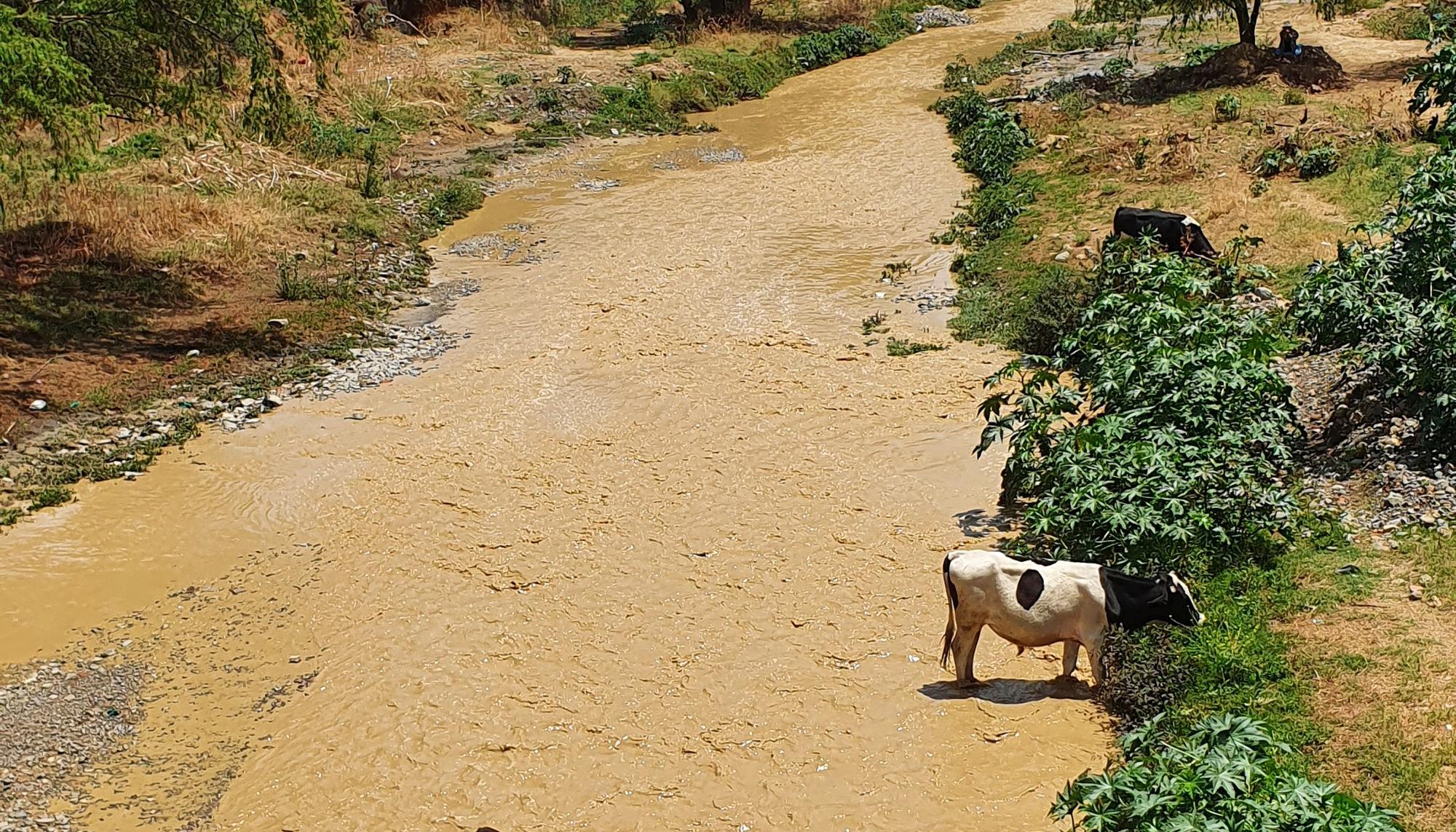  río rocha