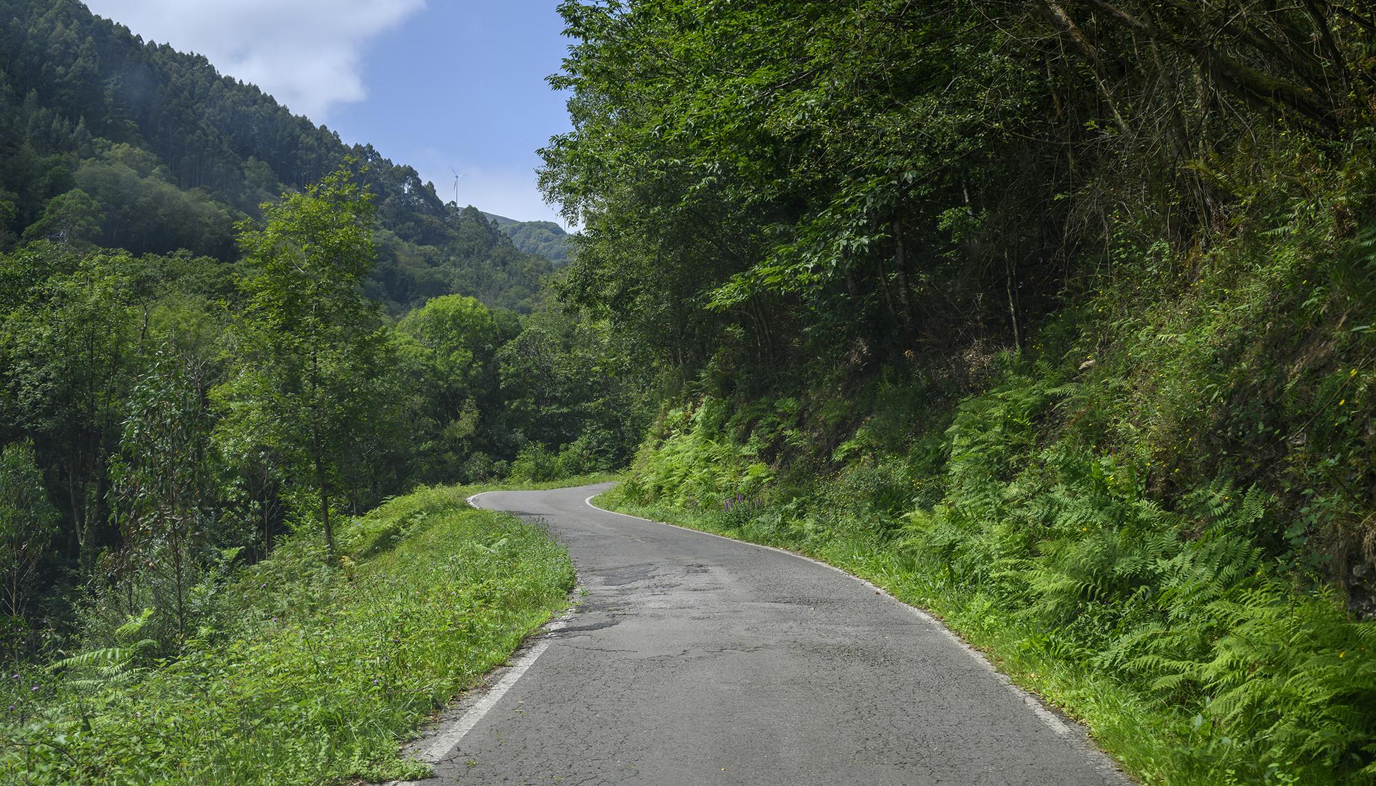 Asturias rural eólica verano - 9