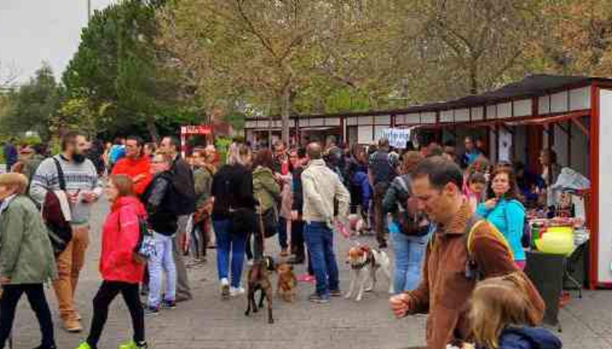 I Jornada de la Alegría Mérida 