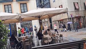 Somos rizoma: la trinchera de lo local frente a la locura global