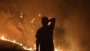 La catástrofe es el capital